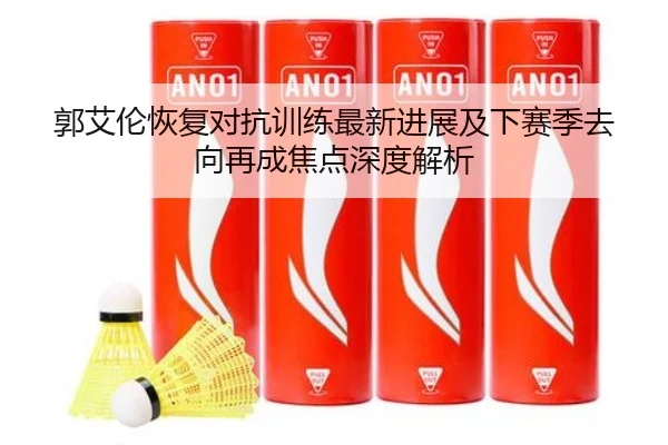 郭艾伦恢复对抗训练最新进展及下赛季去向再成焦点深度解析