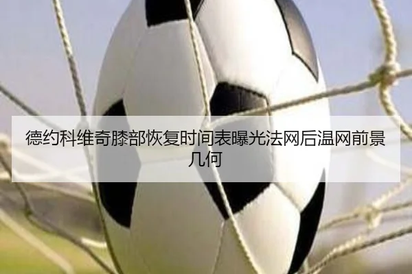 德约科维奇膝部恢复时间表曝光法网后温网前景几何