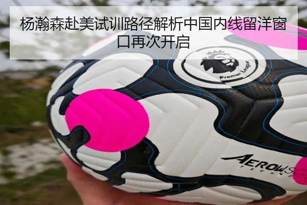 杨瀚森赴美试训路径解析中国内线留洋窗口再次开启